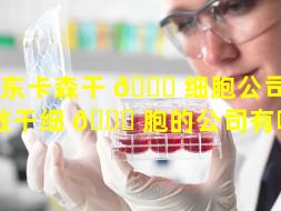 山东卡森干 🍀 细胞公司（山东做干细 🍁 胞的公司有哪些）